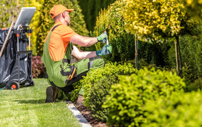 entretien jardin